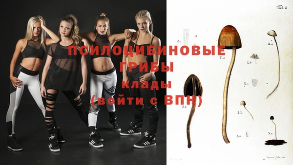 а пвп мука Тавда