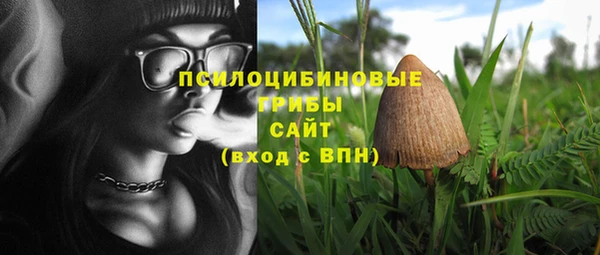хмурый Новокубанск