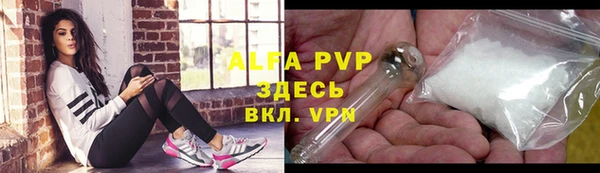 соль ск Тайга