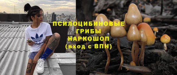 каннабис Няндома