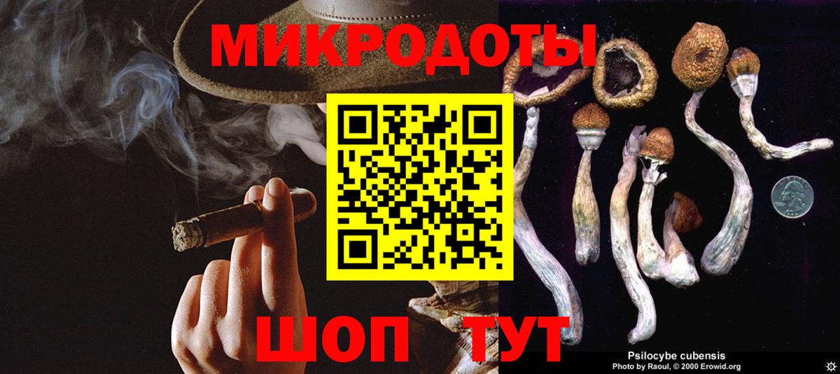 Галлюциногенные грибы Psilocybine cubensis Ногинск